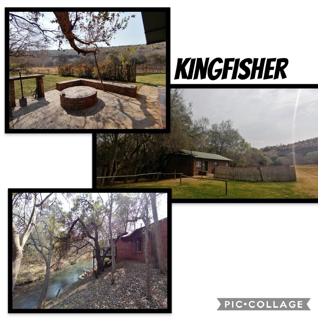PinDrop – Kingfisher